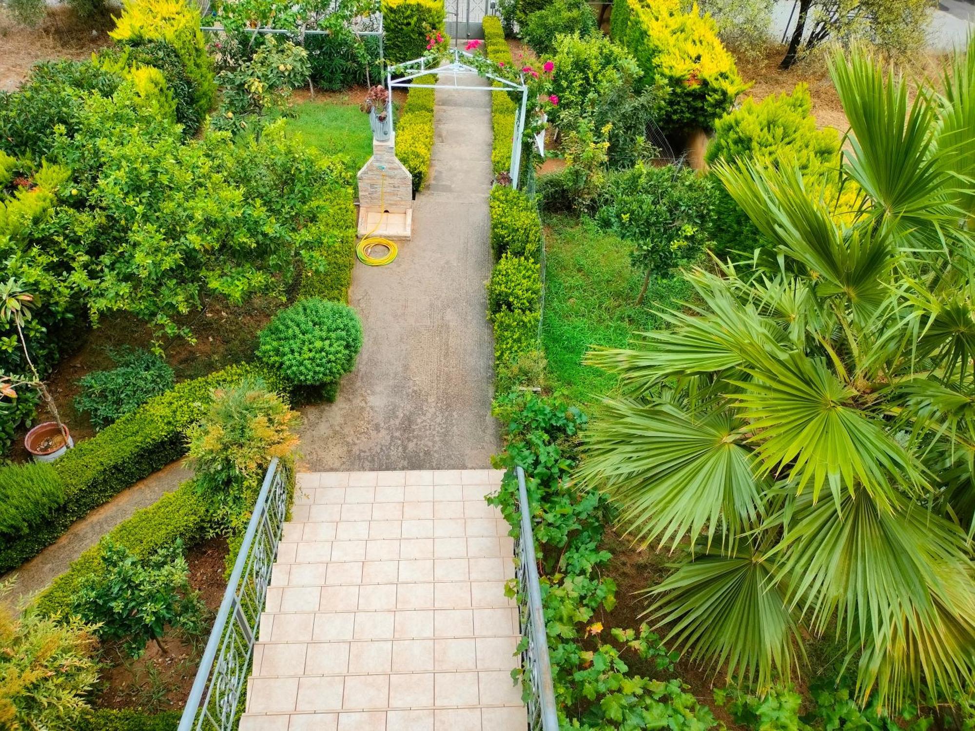 דירות לפקנדי חלקידס House With Wonderful View מראה חיצוני תמונה