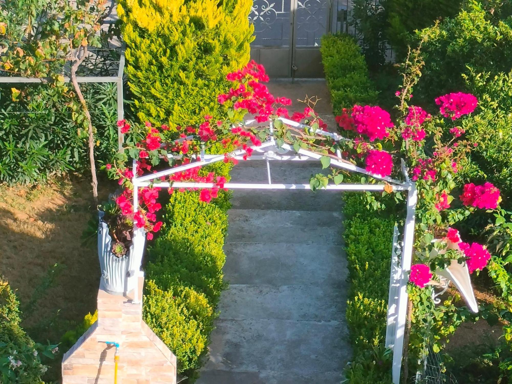 דירות לפקנדי חלקידס House With Wonderful View מראה חיצוני תמונה